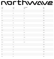 Buty snowboardowe Northwave Decade męskie szare r. 47