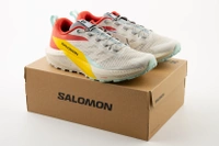 Buty męskie Salomon Sense Ride 5 do biegania w terenie beżowe
